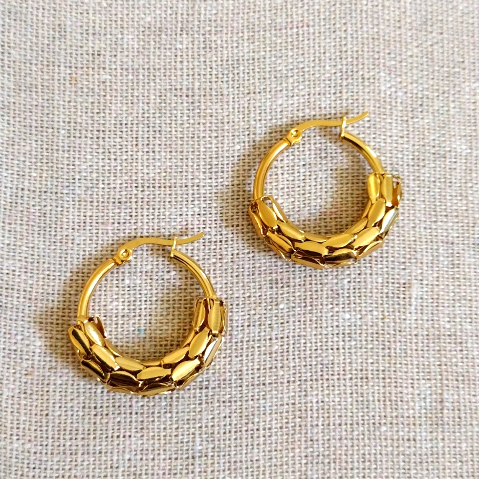 18 Kt Gold Over Titanium Earrings